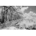 Фотоплівка ILFORD SFX 200 35мм 36 кадрів Фотоплівка ILFORD SFX 200 35мм 36 кадрів